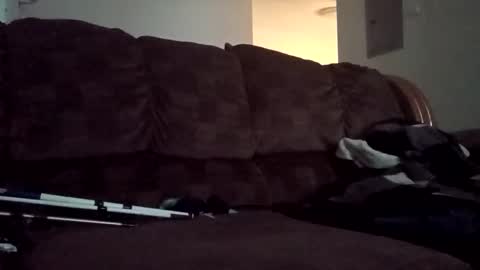 Snapshot of aclmaater chatting on October 2025 07:36:02 PM not going to tell you online show from October 2025 07:36:02 PM