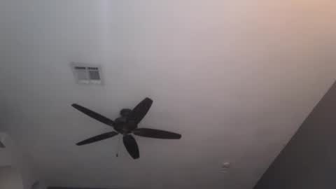 OF  online show from January 2025 12:04:01 AM