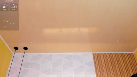 Snapshot of ada__lee_ chatting on January 2025 03:29:02 PM Antonella online show from January 2025 03:29:02 PM