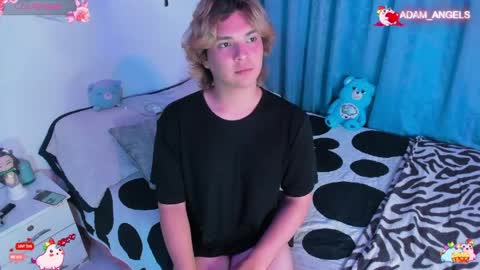 Snapshot of adam_angelsss chatting on May 2026 02:16:01 AM ADAM ANGELS independent model online show from May 2026 02:16:01 AM