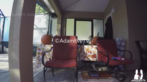 Adam And Eve online show from November 2025 08:33:02 PM