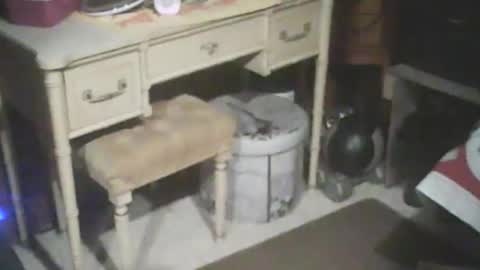 adamsny online show from January 2025 08:30:02 AM