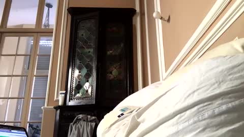 adrienfromparis online show from March 2026 08:07:01 AM