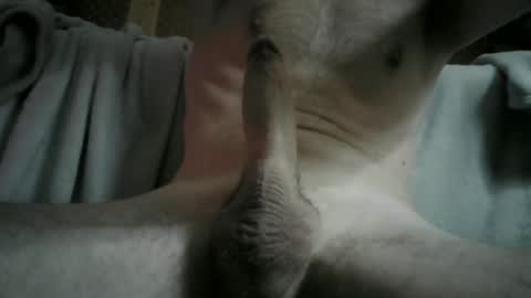 Snapshot of adryan_gym chatting on December 2024 12:19:02 AM ADRY SKY online show from December 2024 12:19:02 AM