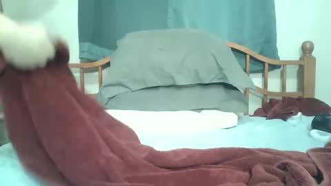 Snapshot of afreeman1 chatting on January 2026 04:20:01 PM afreeman1 online show from January 2026 04:20:01 PM