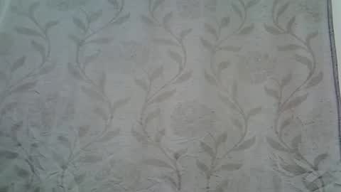 Snapshot of afronubians_ chatting on January 2025 05:13:01 AM pink and josphen online show from January 2025 05:13:01 AM