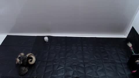 Snapshot of agata_darkness chatting on January 2026 07:38:02 PM Miss Agata online show from January 2026 07:38:02 PM