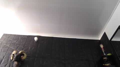 Snapshot of agata_darkness chatting on February 2026 05:28:01 PM Miss Agata online show from February 2026 05:28:01 PM