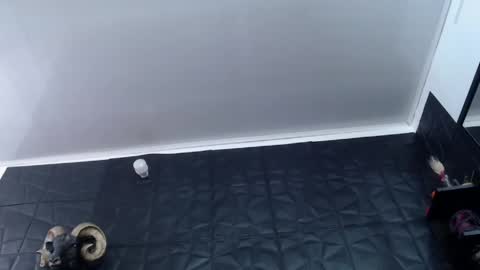 Snapshot of agata_darkness chatting on May 2026 02:03:01 PM Miss Agata online show from May 2026 02:03:01 PM