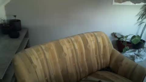 agin17 online show from February 2025 07:41:01 AM