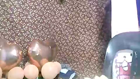 rosie online show from February 2025 03:17:01 PM