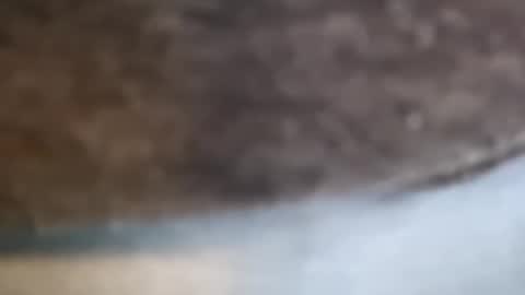 aj297914 online show from February 2026 03:14:02 AM