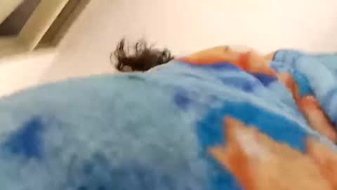 isabella online show from December 2025 12:31:02 PM