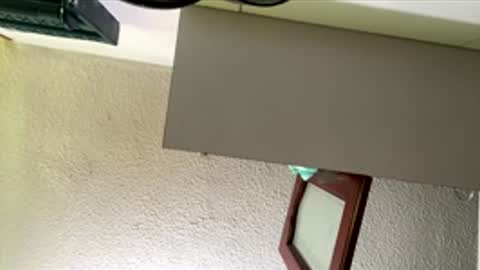 isabella online show from February 2026 01:10:01 PM