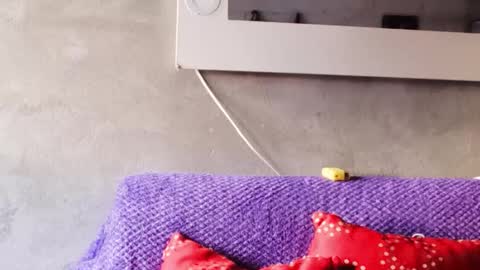 alasska_18 online show from October 2025 10:04:02 PM