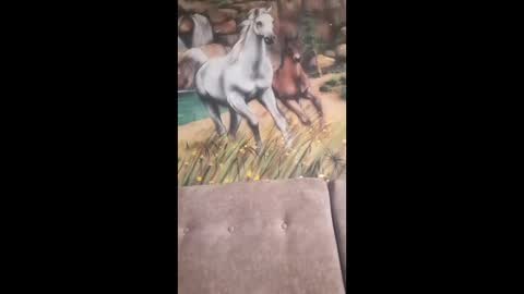 albina online show from February 2026 09:49:02 AM