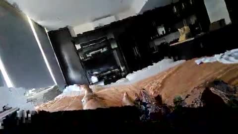 alenart online show from February 2025 07:46:01 PM