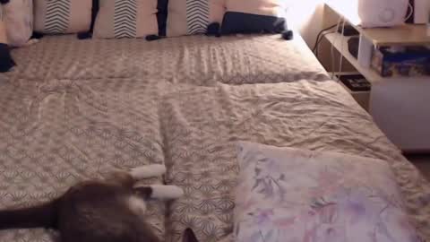 Sandra online show from February 2025 02:20:02 PM