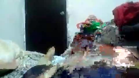 Alexamdergal online show from January 2025 03:13:01 AM