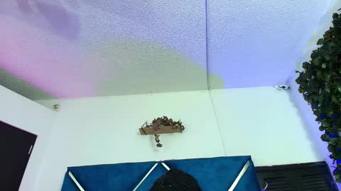 Alexa online show from February 2026 01:47:02 AM