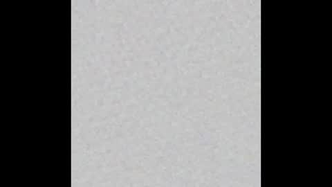 Alex Dimartino online show from February 2026 12:04:01 PM