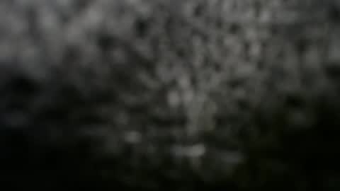 Doggystyle online show from March 2025 12:11:02 AM