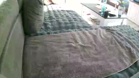 Doggystyle online show from January 2026 10:17:01 AM