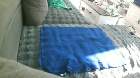 Doggystyle online show from February 2026 11:08:02 AM