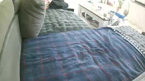 Doggystyle online show from May 2026 08:41:01 AM