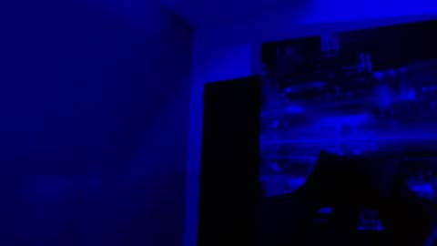 alexgiraldo__ online show from May 2026 11:05:02 AM