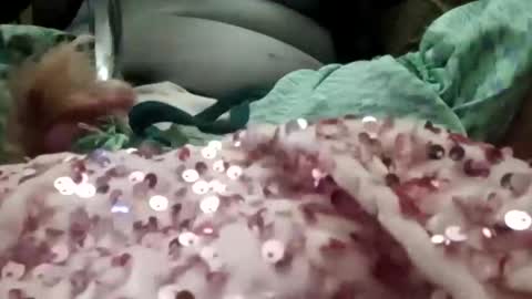 alexis0007754689 online show from January 2026 07:39:01 PM