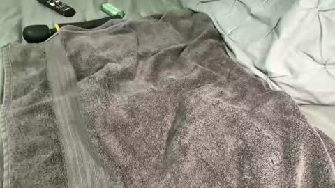 Alexis online show from December 2024 11:34:02 AM