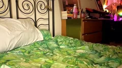 Alex online show from December 2024 09:31:02 PM