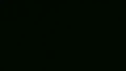 alf1307545 online show from February 2025 06:15:02 PM