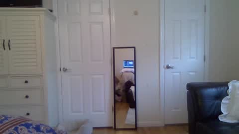 alfal21 online show from May 2026 09:42:02 PM
