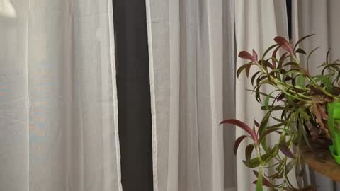 ali500886 online show from March 2026 05:52:02 AM