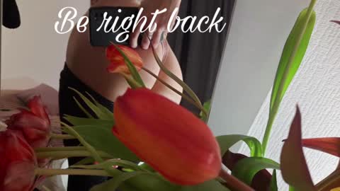 Snapshot of alice_dias chatting on December 2024 12:49:01 PM alice_dias online show from December 2024 12:49:01 PM