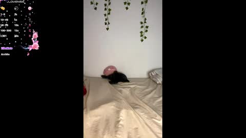 Alice online show from February 2025 11:08:02 AM