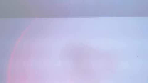     online show from February 2026 01:48:01 AM