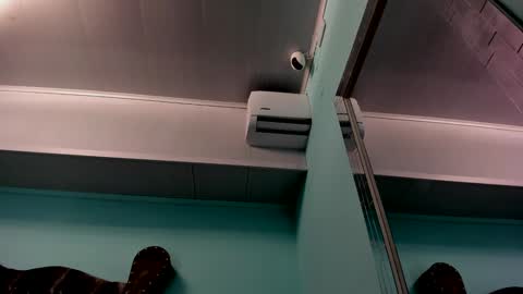 Alice online show from December 2024 10:58:02 AM