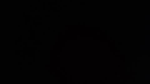     online show from March 2026 07:41:02 PM