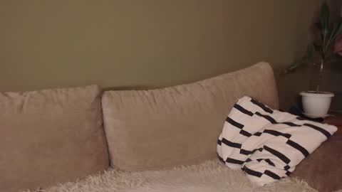 alisaxxxshy online show from February 2026 06:40:02 AM