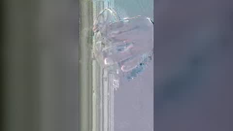 alisherof online show from January 2026 11:15:02 AM