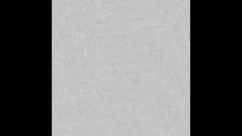 Alisse online show from February 2026 12:01:02 PM