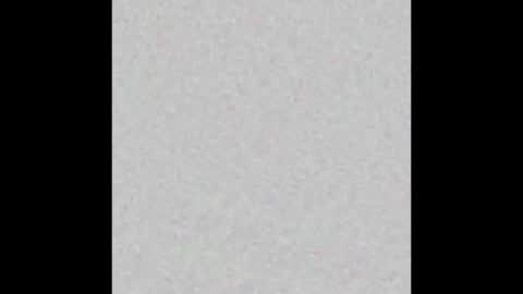 Alisse online show from February 2026 12:04:02 PM