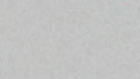 Alisse online show from July 2026 11:58:02 AM