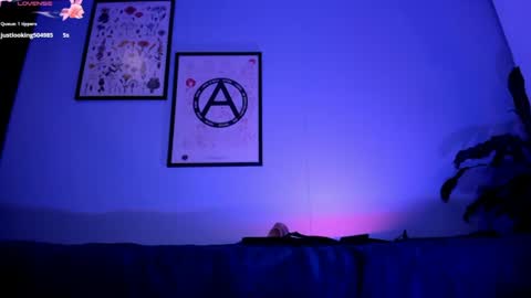    online show from July 2026 08:07:02 AM