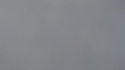 aliuno12345678 online show from December 2024 12:34:01 PM