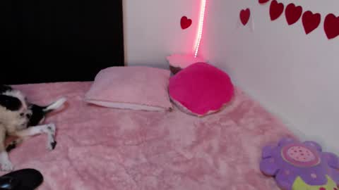 Lola online show from February 2025 01:02:02 AM