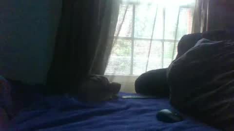 allbermy online show from February 2025 09:48:01 PM